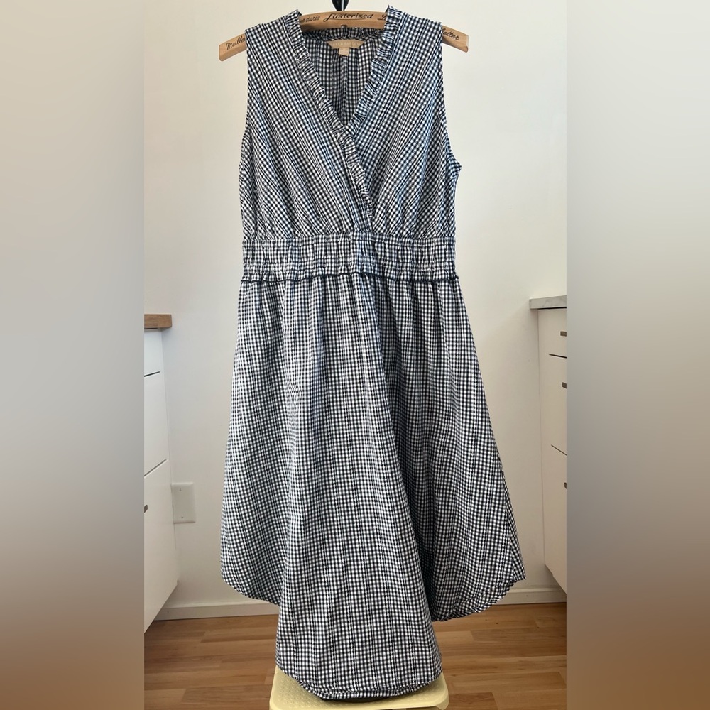 Stylish Blue and White Gingham Dress